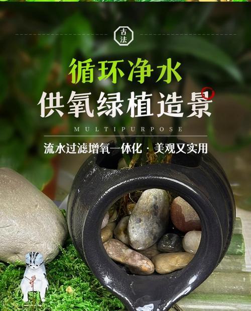 以水草缸放哪些工具鱼的选择与管理（打造完美生态缸，选择合适的工具鱼是关键）